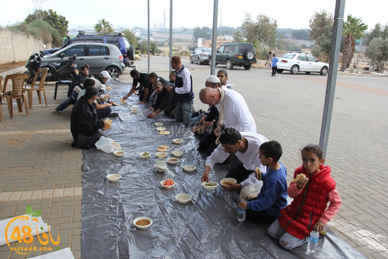 taso mashro3 tandaef (36).JPG